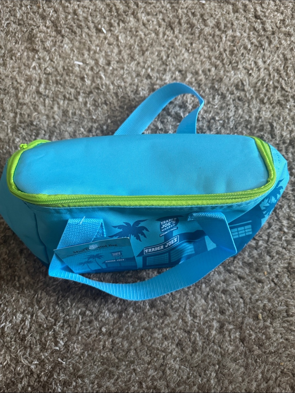 Trader Joe's Mini Insulated Bag in Bright Aqua with Lime Trim